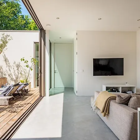 Delphia * ベルゲン